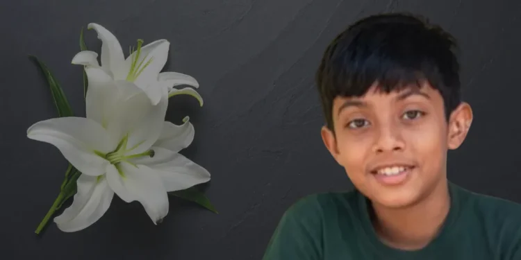 12 year old boy dies Palakkad